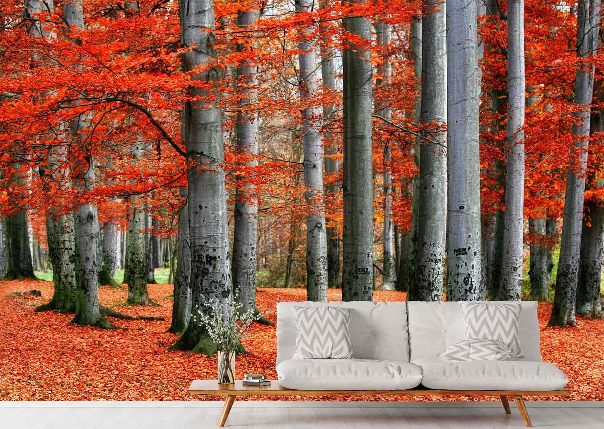 Bask in the serene beauty of a Red Forest Wallpaper