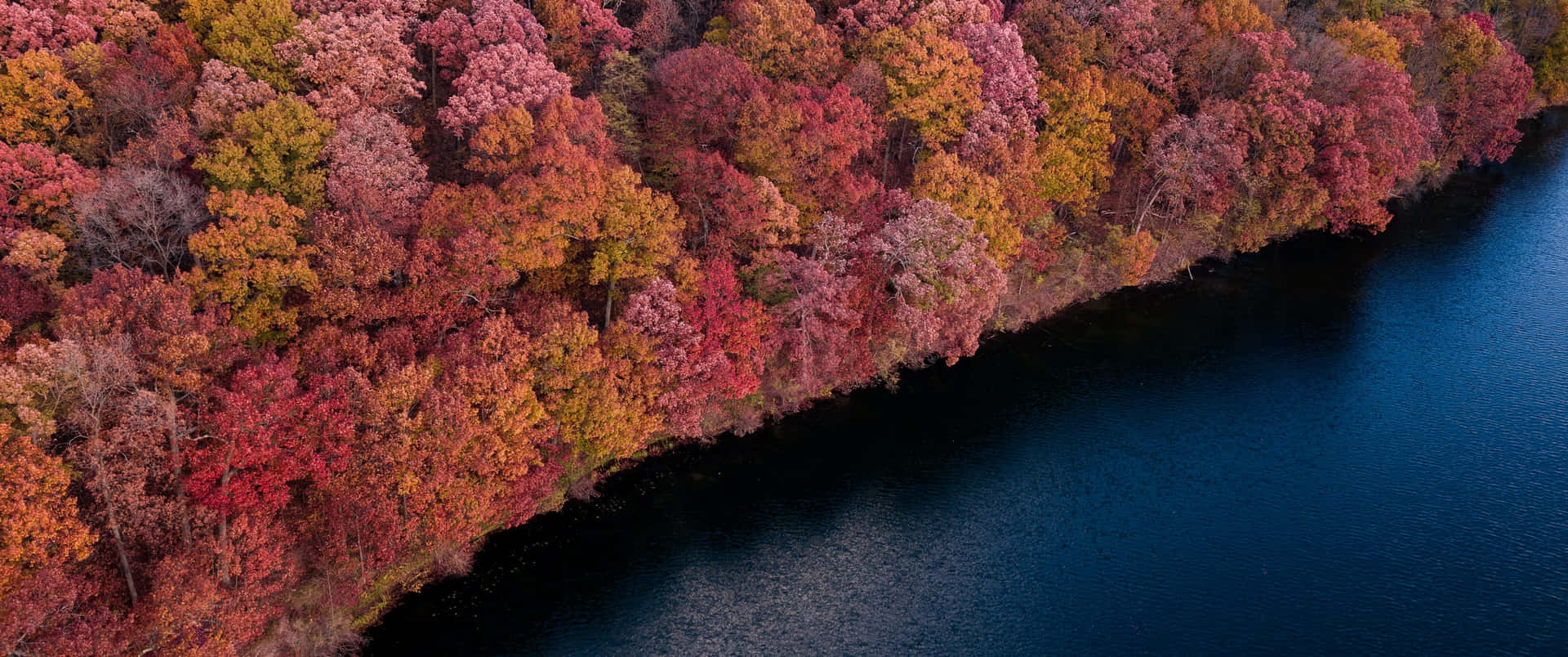 A Lake With Trees Wallpaper