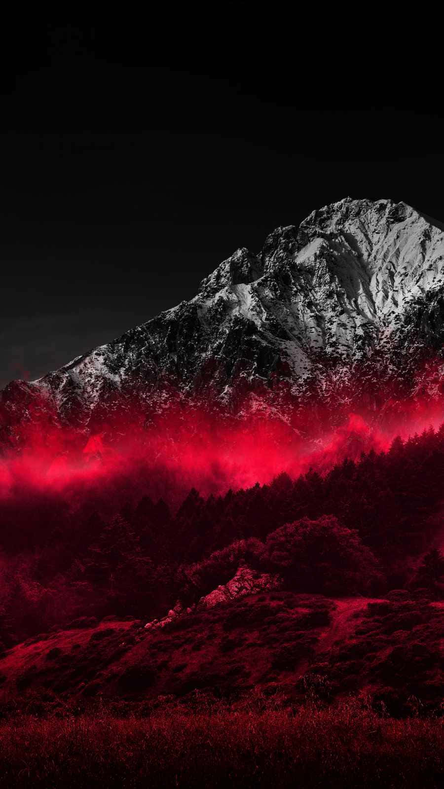 'Explore the Mysterious Red Forest' Wallpaper