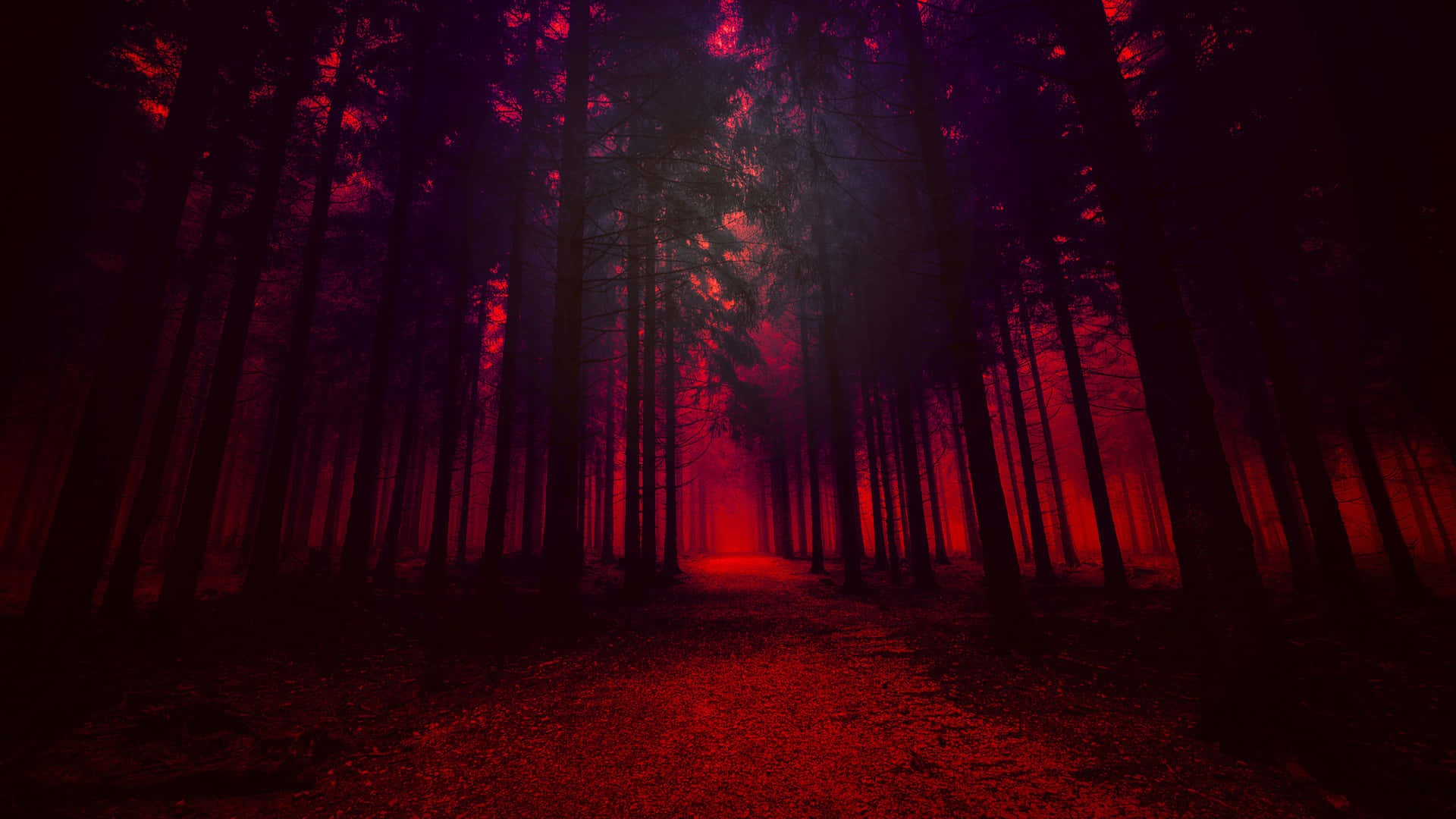 A Red Light Is Shining Through The Trees Wallpaper