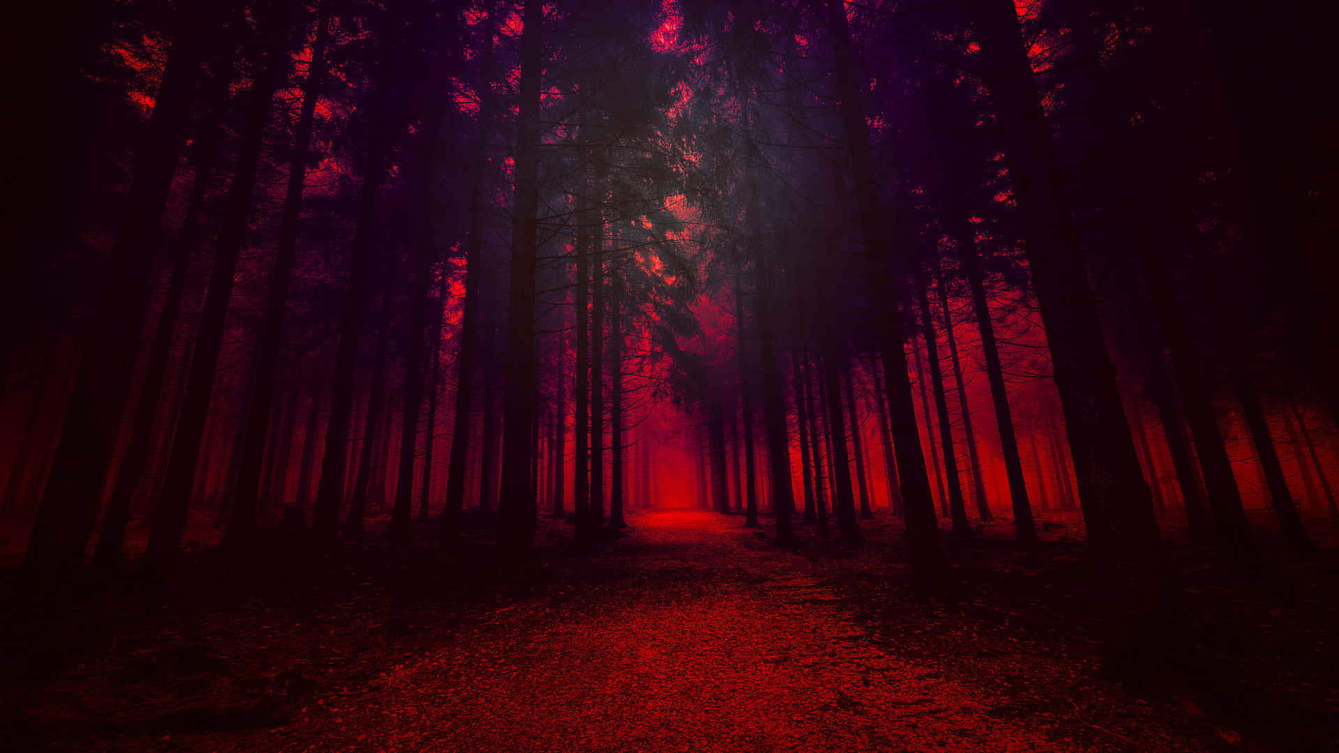 The breathtaking view of Red Forest, Nature's masterpiece Wallpaper