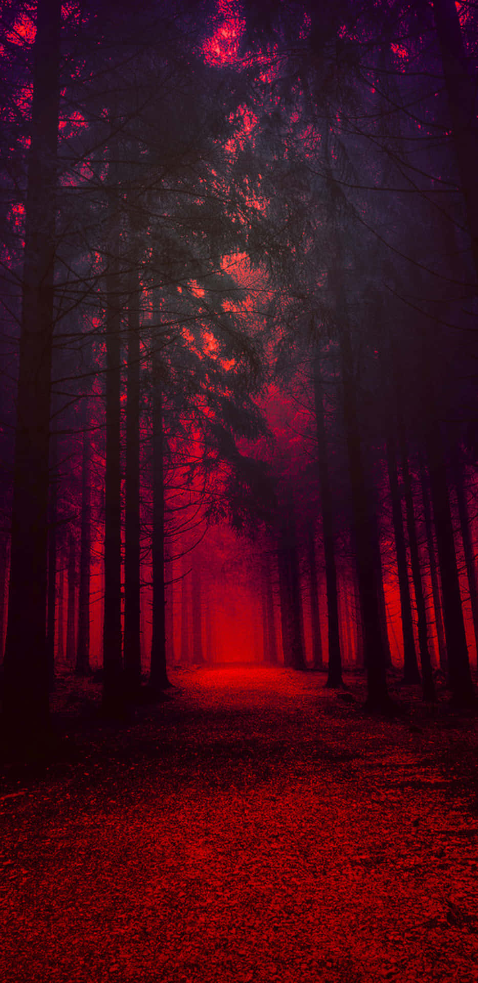 "Walk Thru the Magic of the Red Forest" Wallpaper