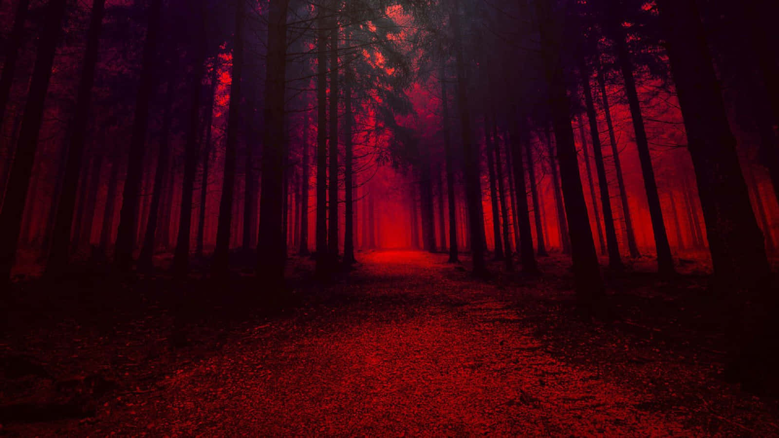 Enmörk Skog Med Röda Ljus Wallpaper