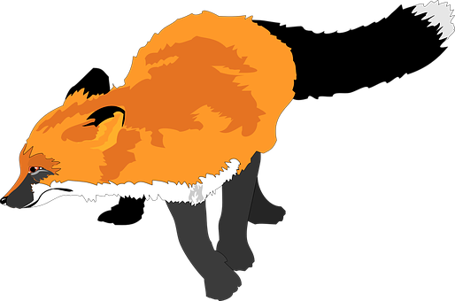 Red Fox Illustration PNG