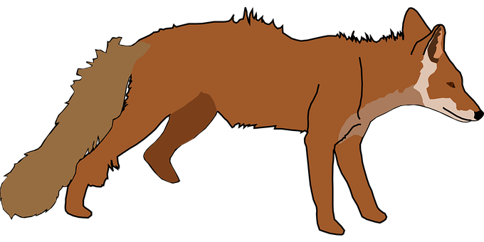 Red Fox Silhouette PNG