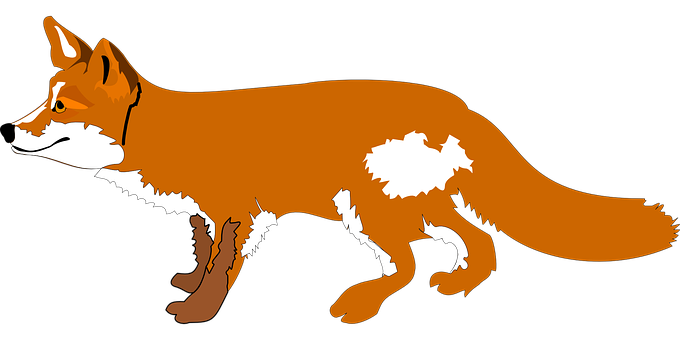Red Fox Vector Illustration PNG