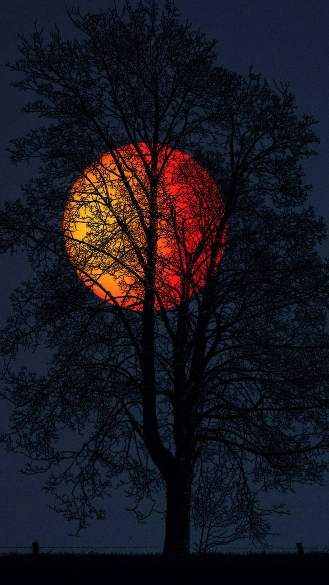 Red Full Moon OnePlus 9R Wallpaper