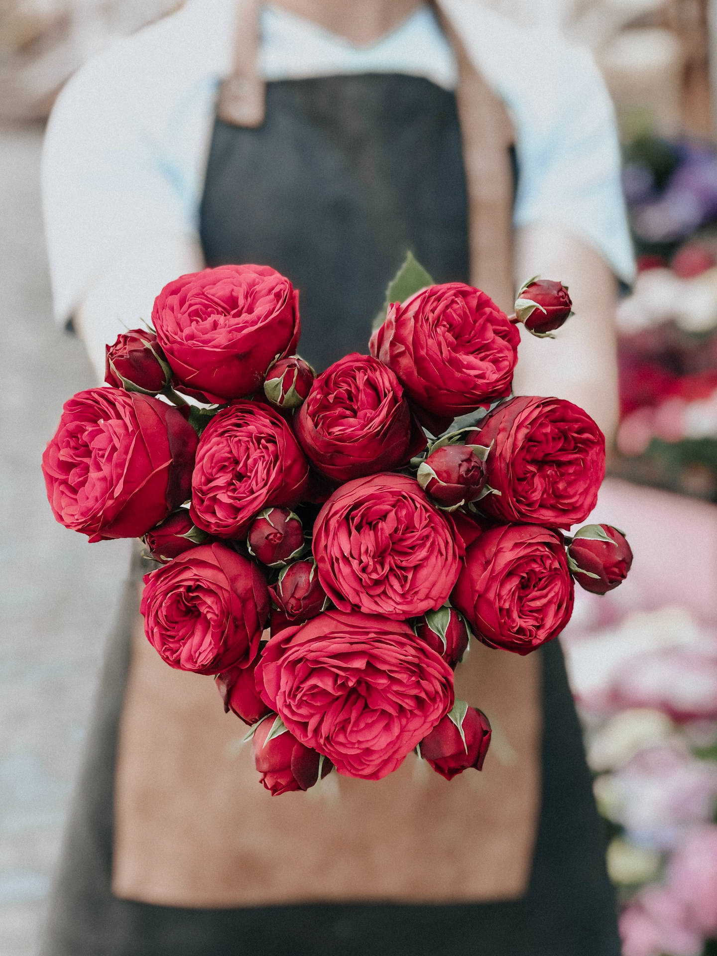 Ramode Flores De Rosas Rojas En El Jardín. Fondo de pantalla