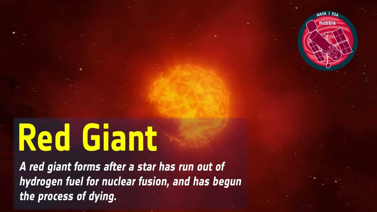 The Majestic Red Giant Star Wallpaper