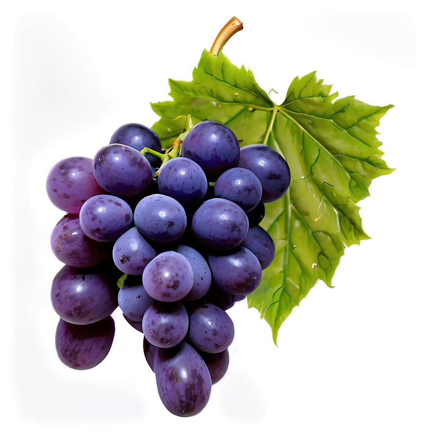 Red Globe Grape Png Dck PNG