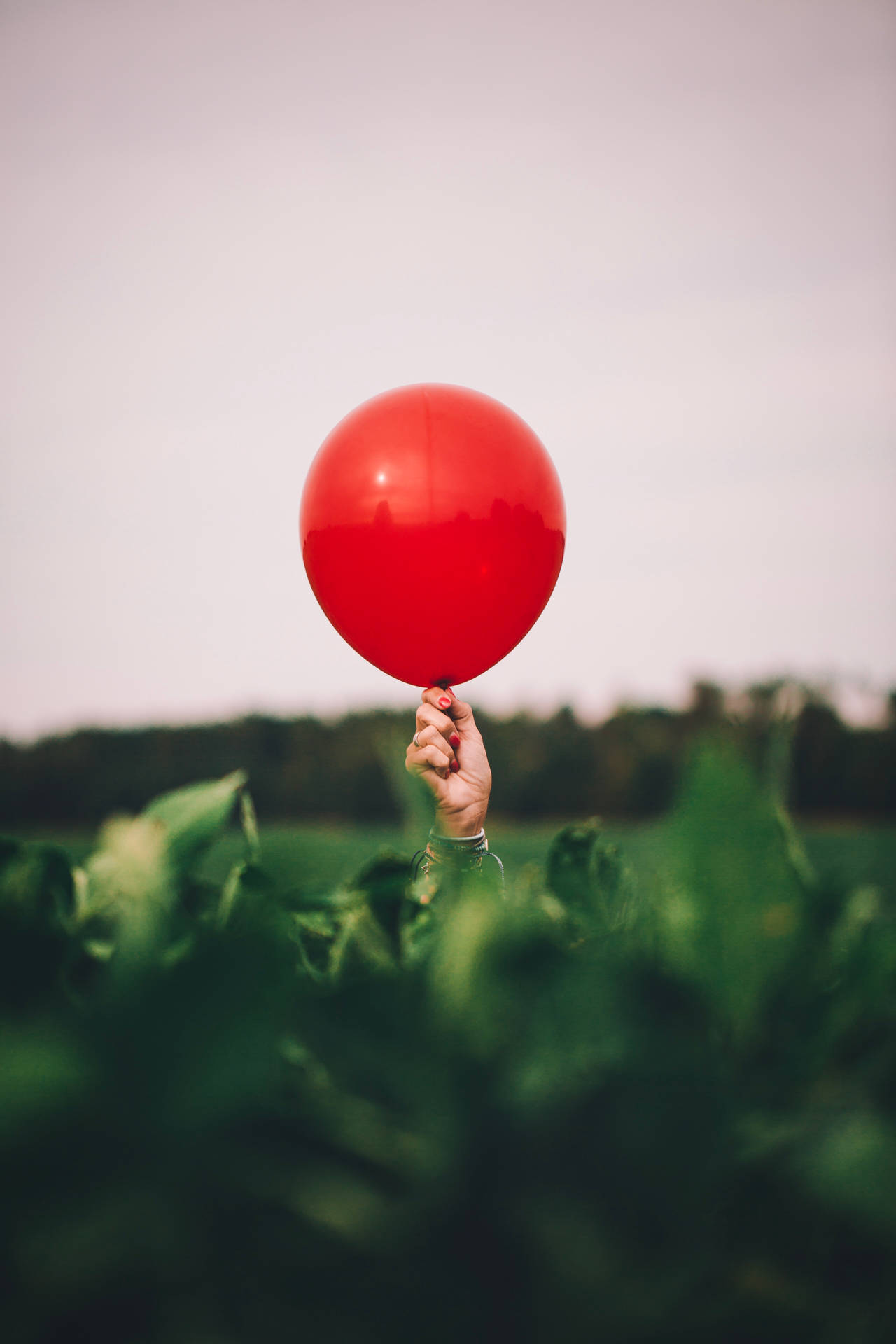Red Glossy Balloon Over Green Plants Wallpaper