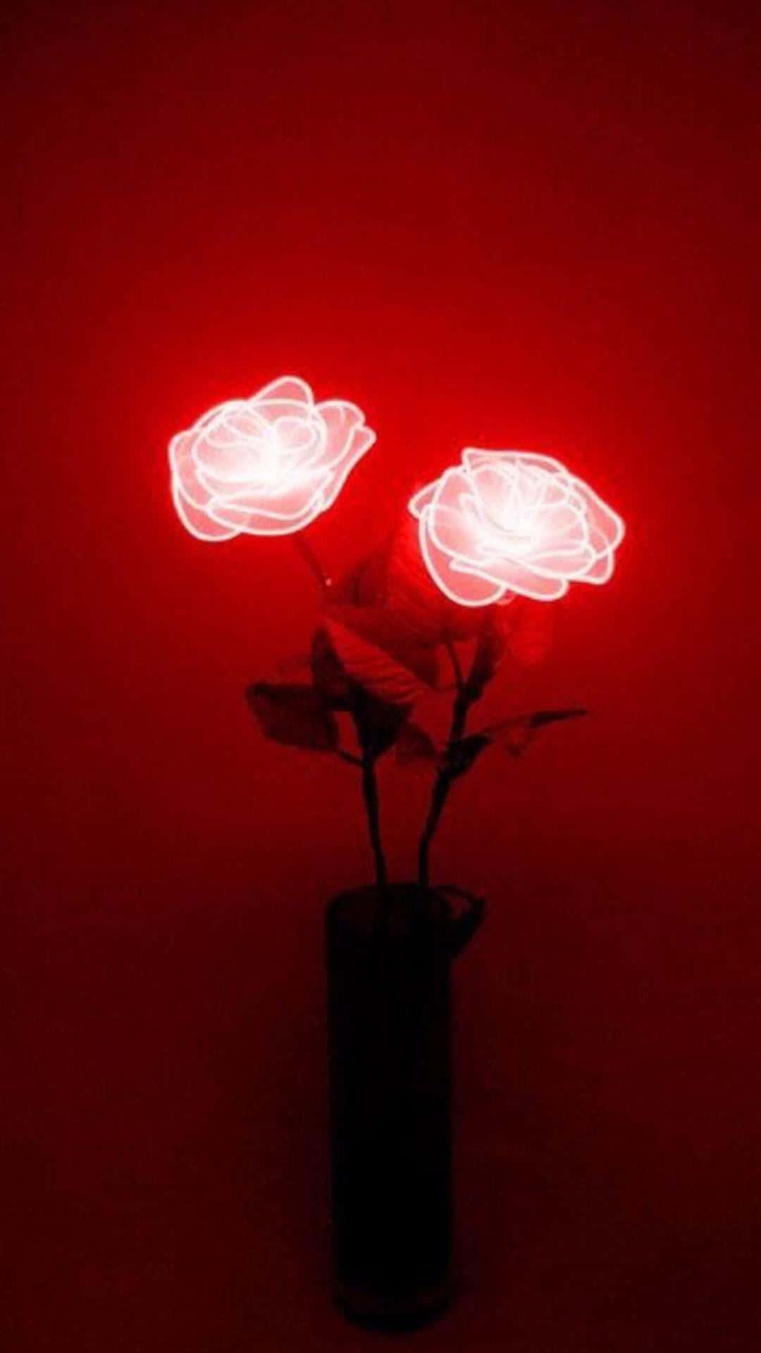 Red Glow Roses Aesthetic Wallpaper