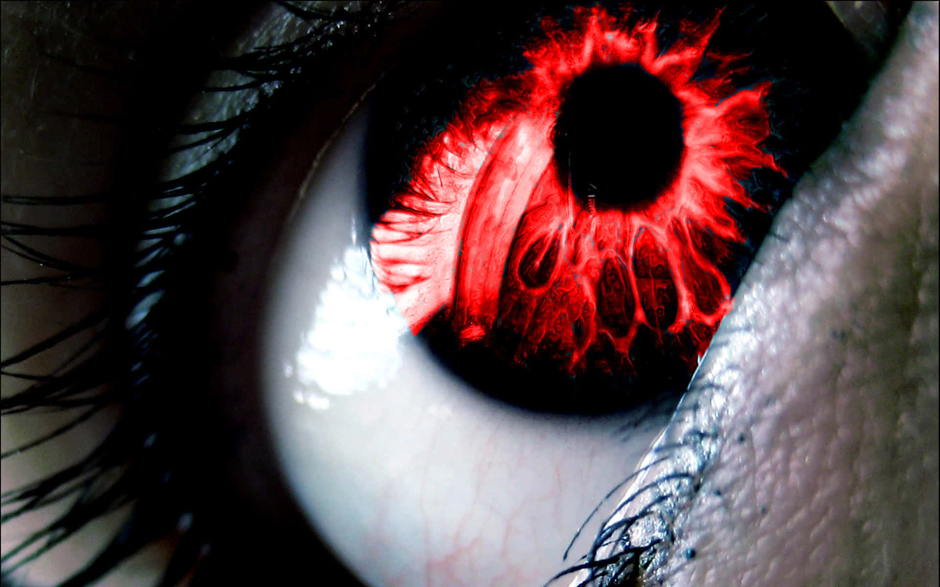 Rotesleuchtendes Augen-iris Wallpaper