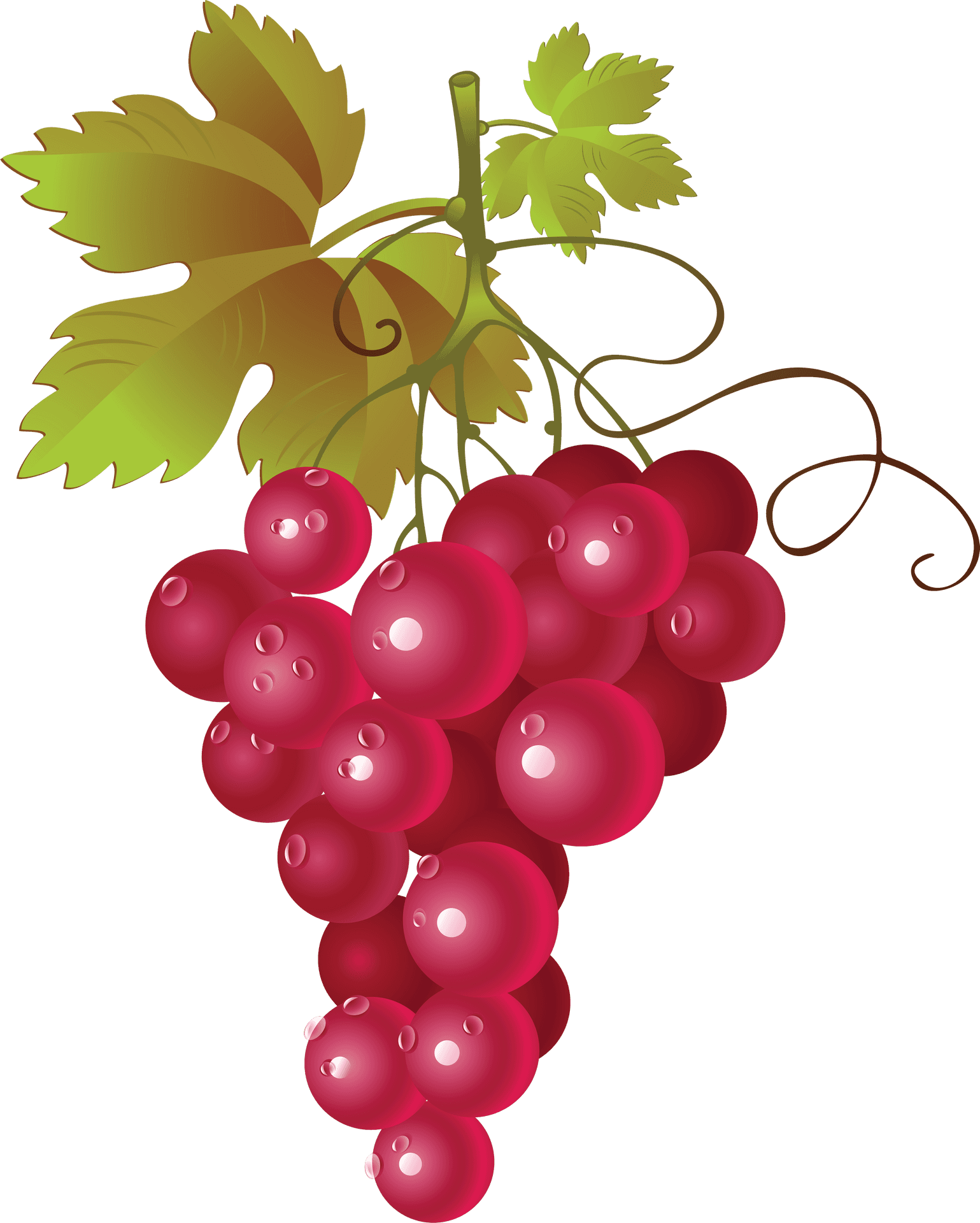 Red Grape Cluster Illustration PNG
