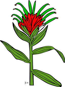 Red Green Floral Illustration PNG