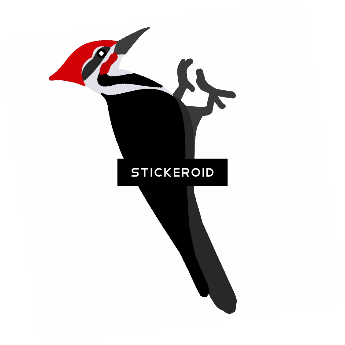Red Headed Woodpecker Illustration.png PNG