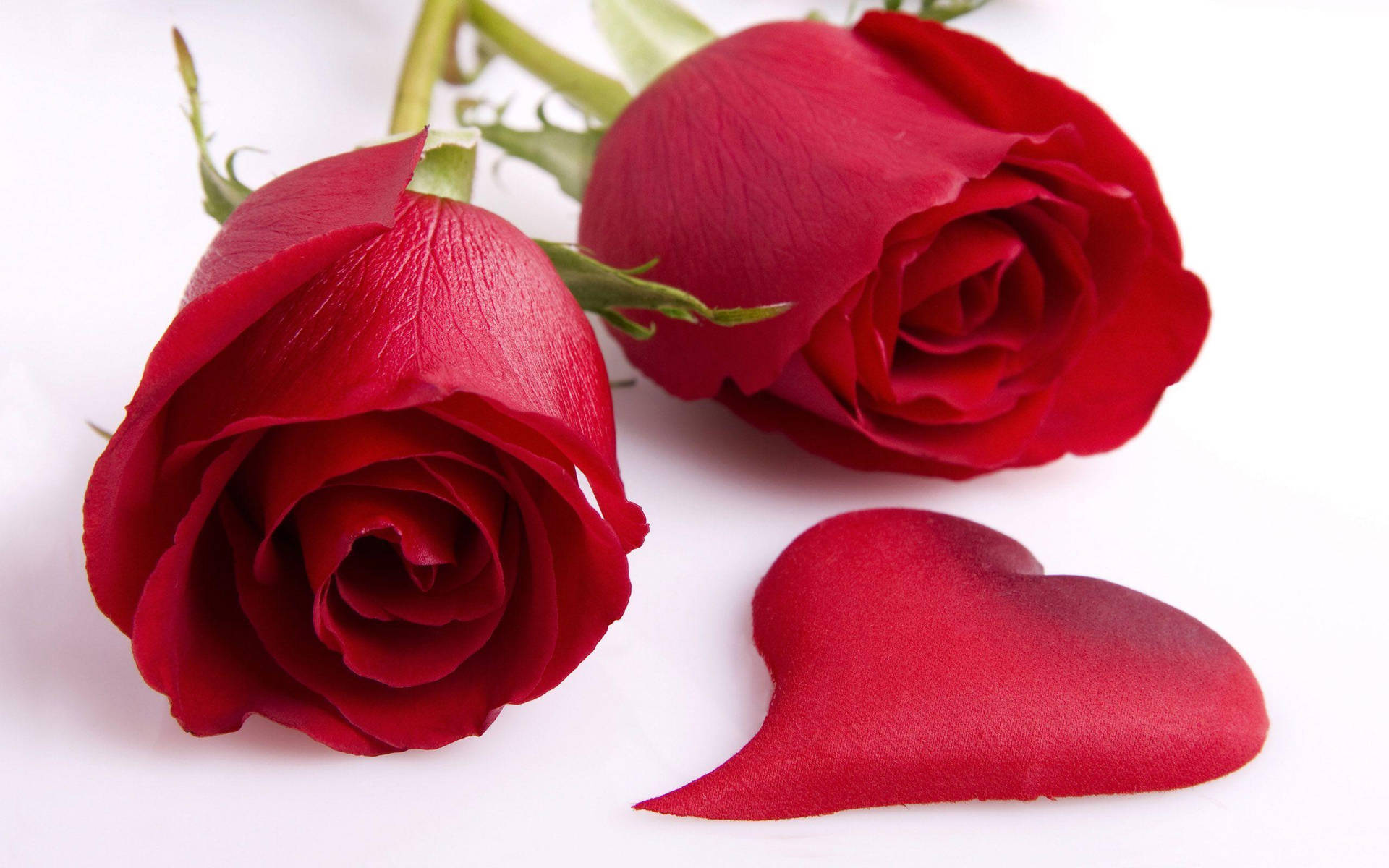 Floresde Pétalos De Rosa Roja En Forma De Corazón. Fondo de pantalla