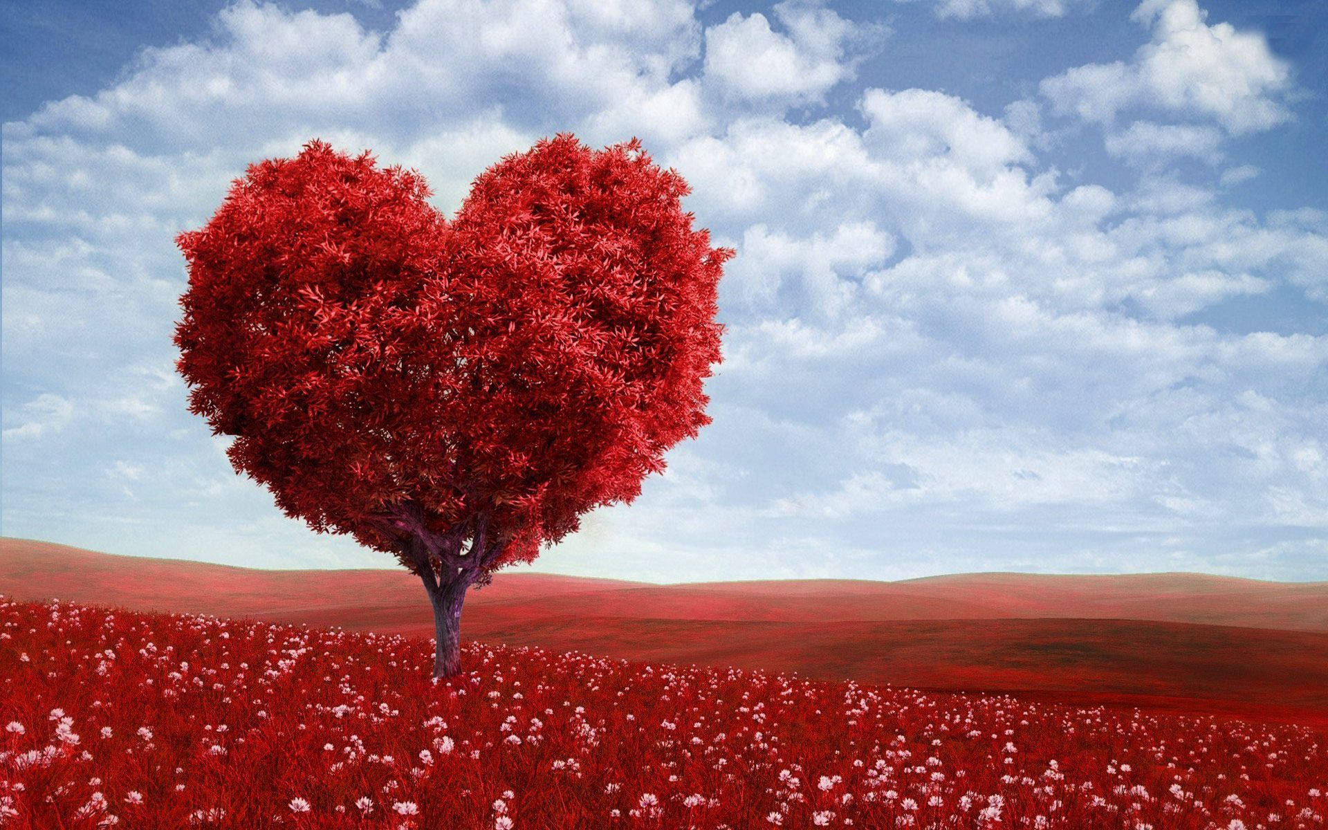 Colorful red heart tree and field desktop wallpaper. 