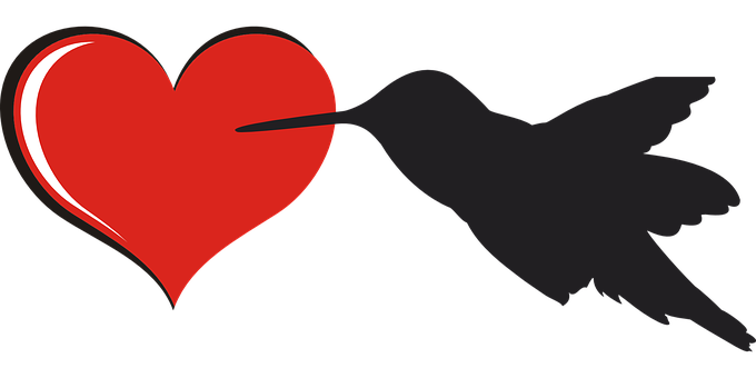Red Heartand Bird Silhouette PNG