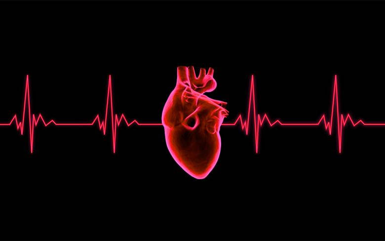 Red Heartbeat Graph Wallpaper