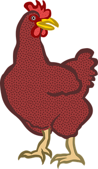Red Hen Illustration PNG