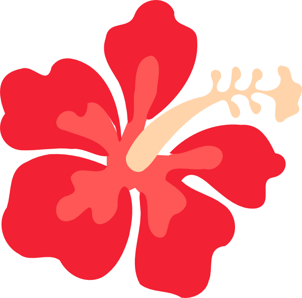 Red Hibiscus Graphic PNG