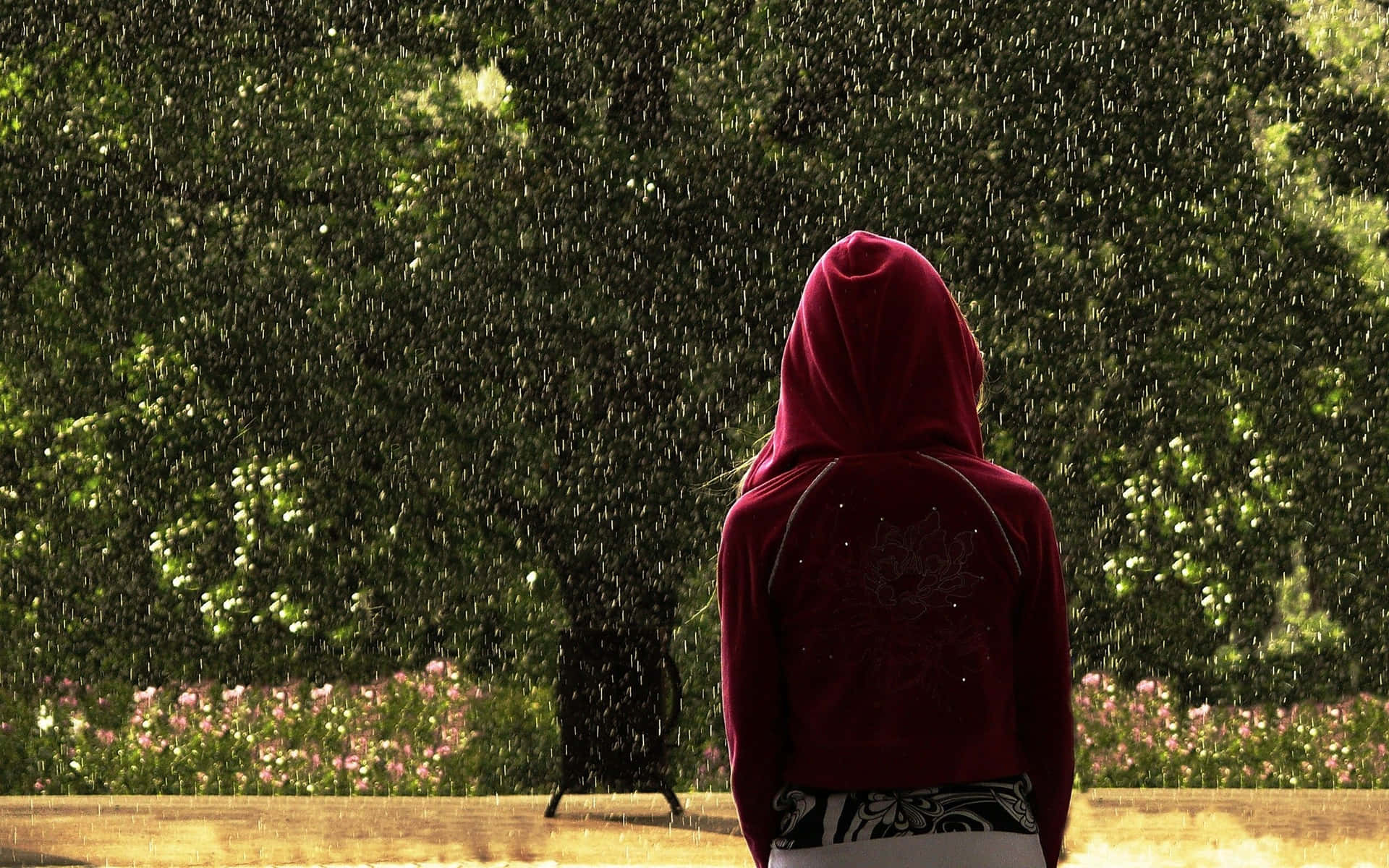 Stylish Red Hoodie on a White Background Wallpaper