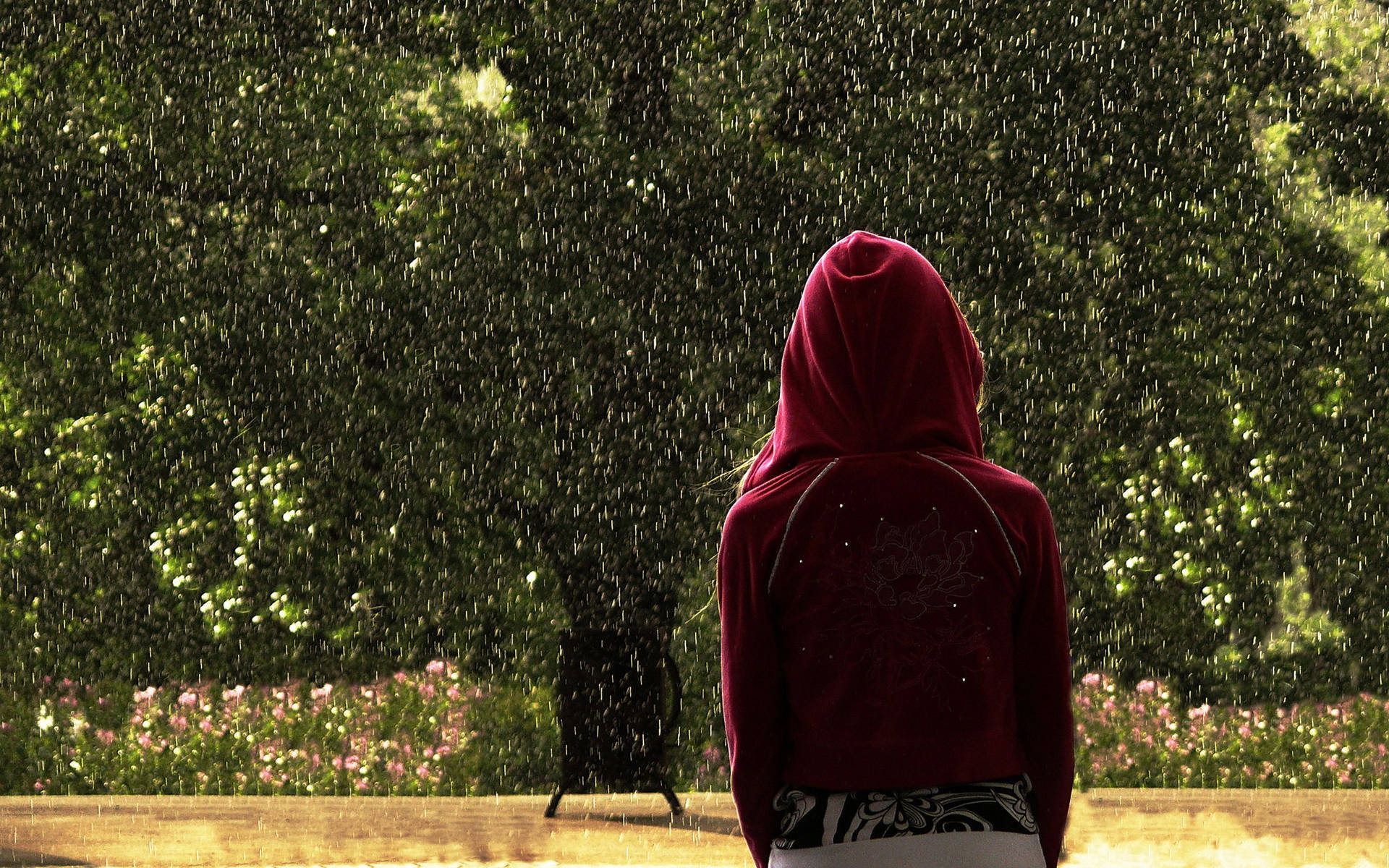 Red Hoodie Under Rain Wallpaper