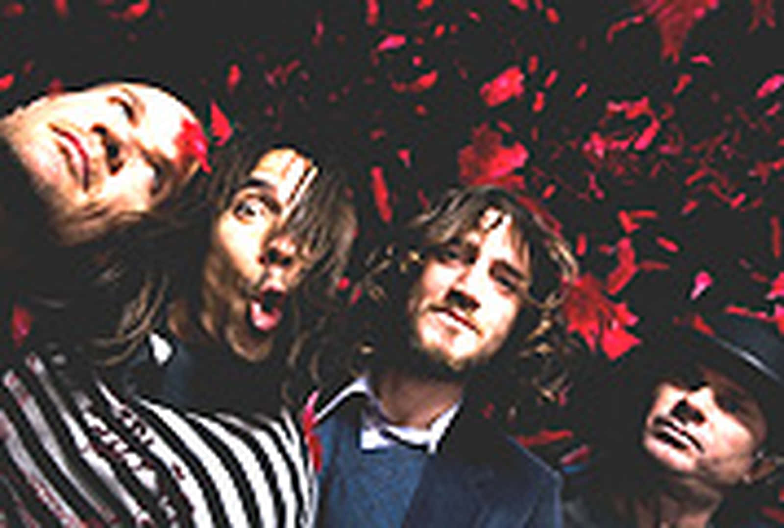 Redhot Chilli Peppers - Soy Un Maldito Idiota. Fondo de pantalla