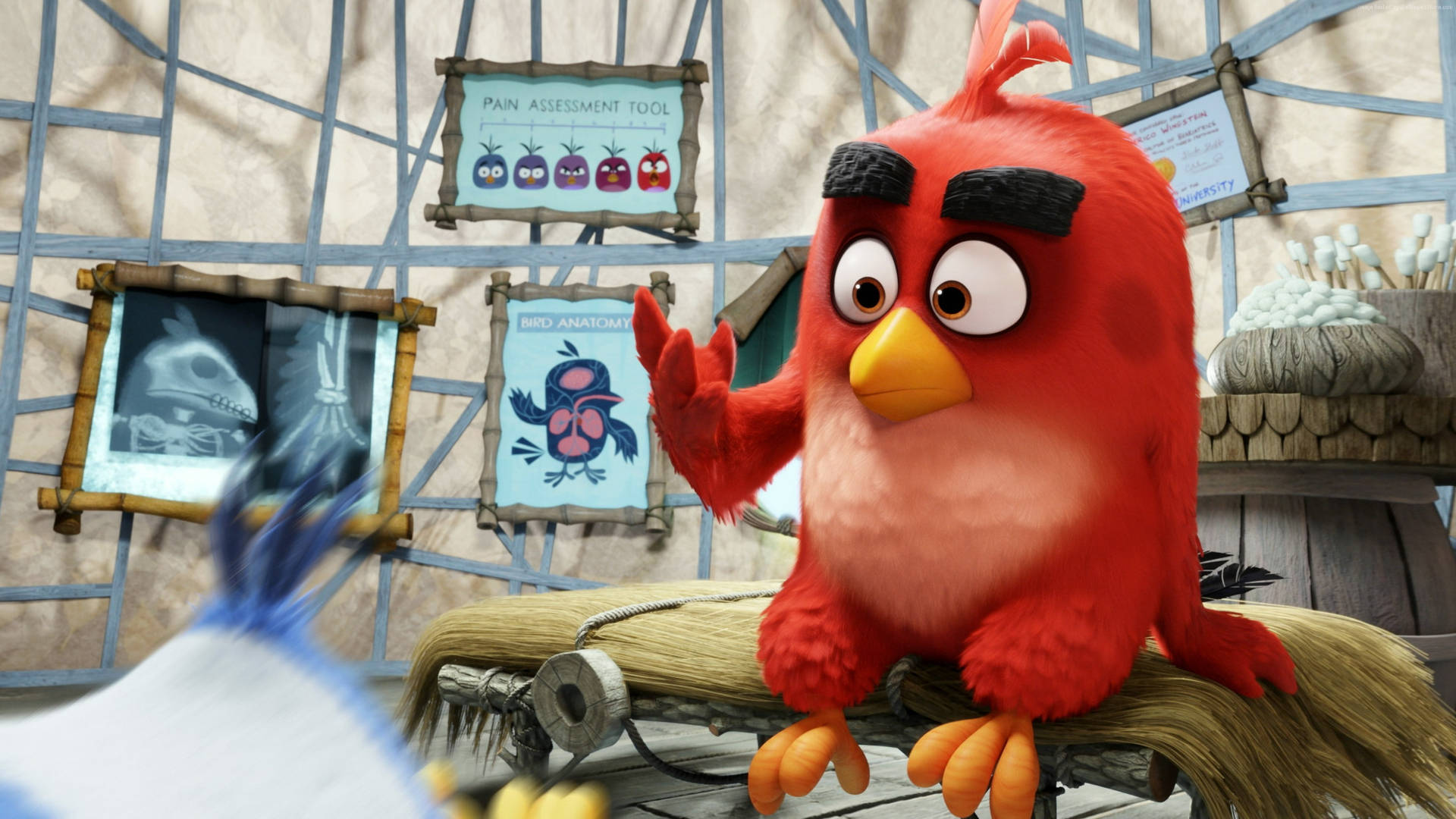 Red In The Angry Birds Movie Wallpaper