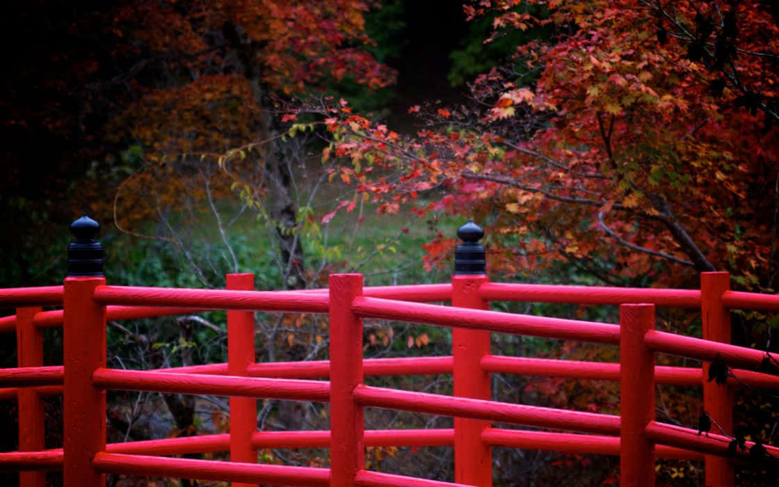 Traditional Japanese Styles in a Red Hue Wallpaper