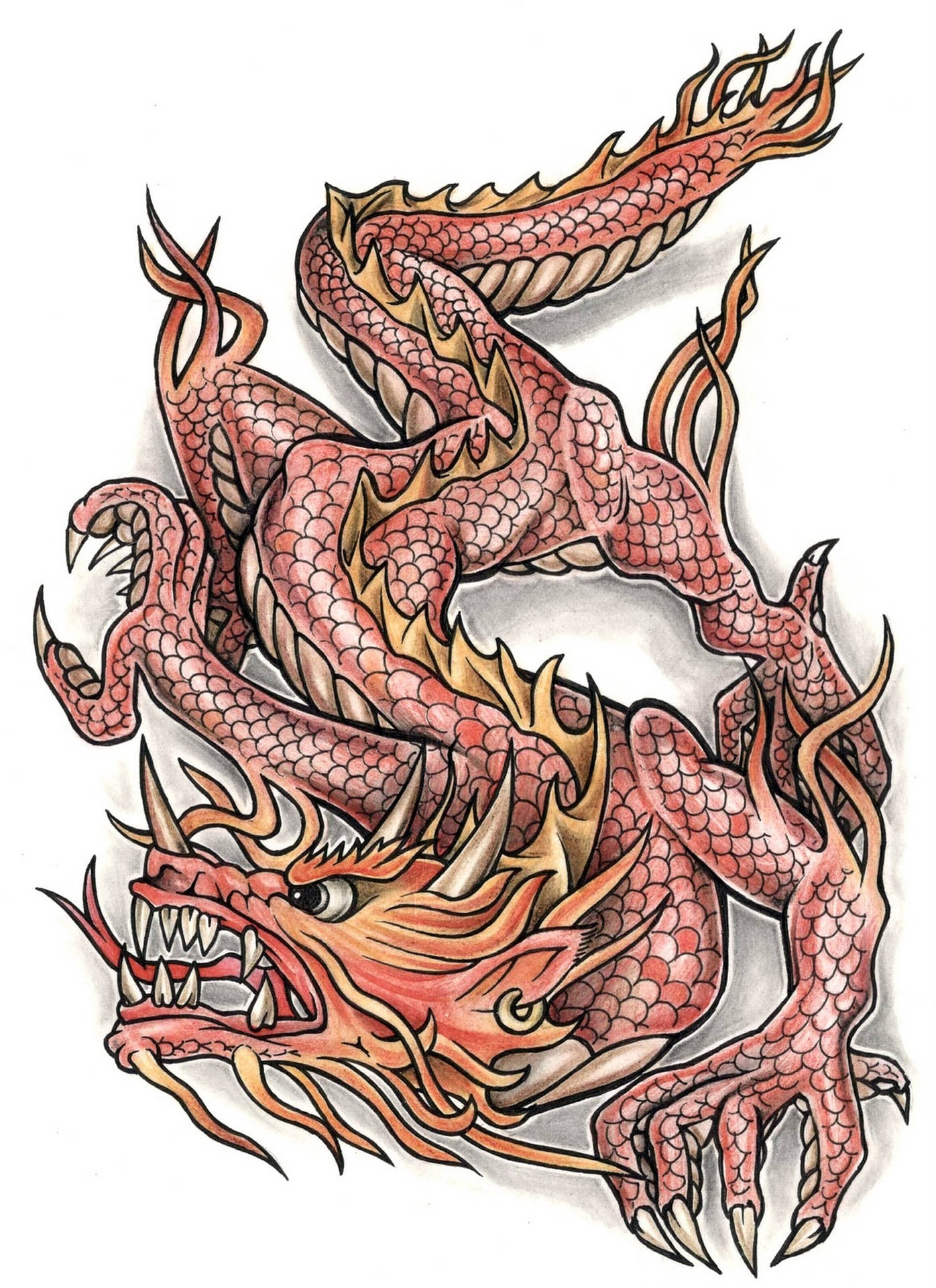 Tatuajede Dragón Japonés Rojo. Fondo de pantalla