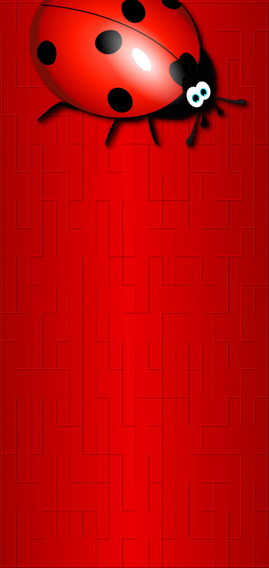 Rödnyckelpiga Genomslagshål 4k. Wallpaper