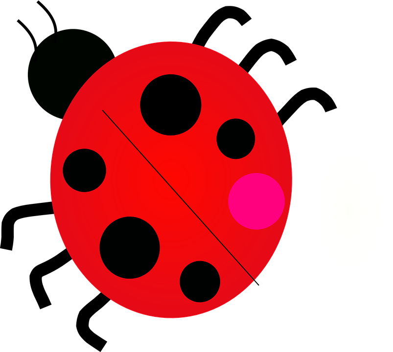 Red Ladybug Cartoon Graphic PNG