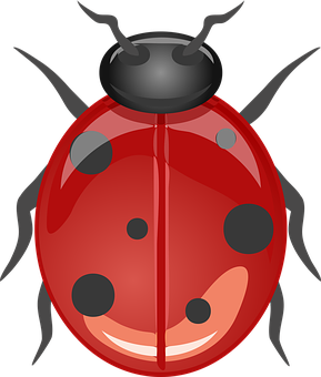 Red Ladybug Cartoon Graphic PNG