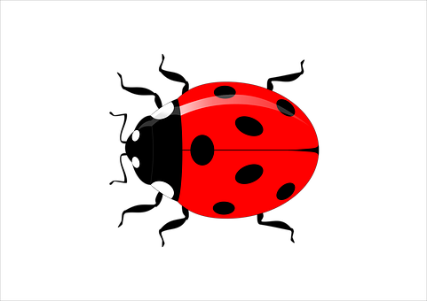 Red Ladybug Graphicon Black Background PNG