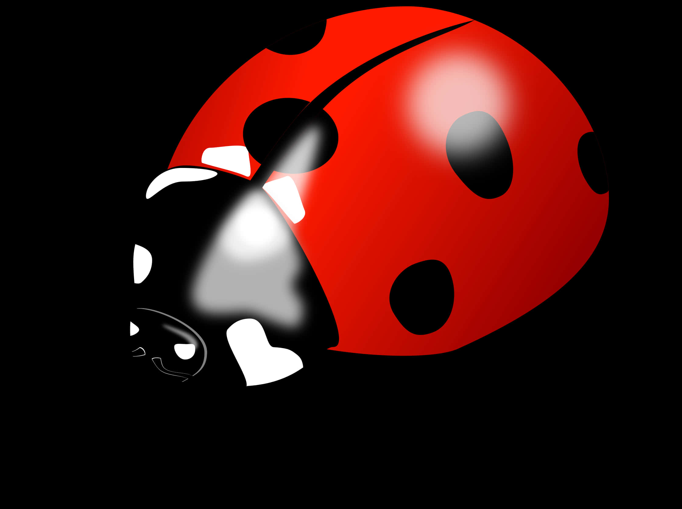 Red Ladybug Illustration PNG