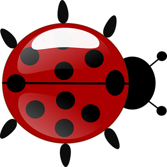 Download Red Ladybug Illustration | Wallpapers.com