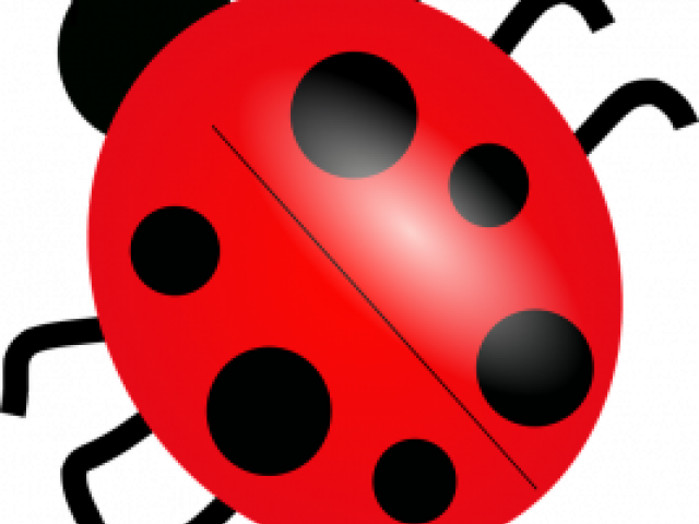 Red Ladybug Illustration PNG