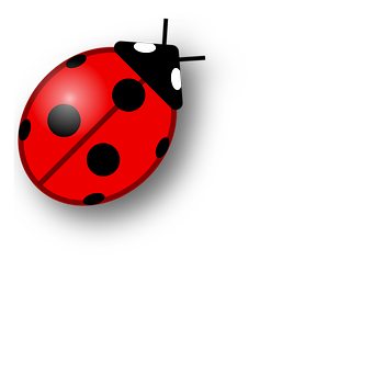Red Ladybug Illustration PNG
