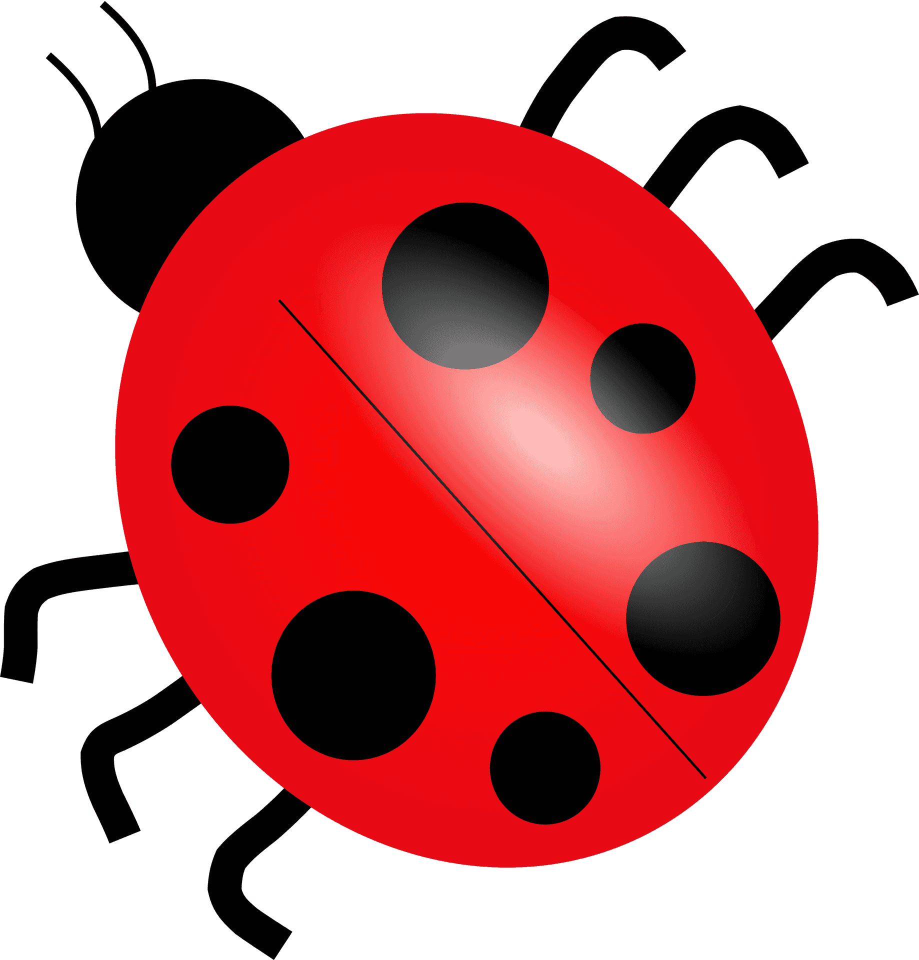 Red Ladybug Illustration.png PNG