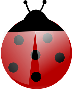 Red Ladybug Illustration PNG