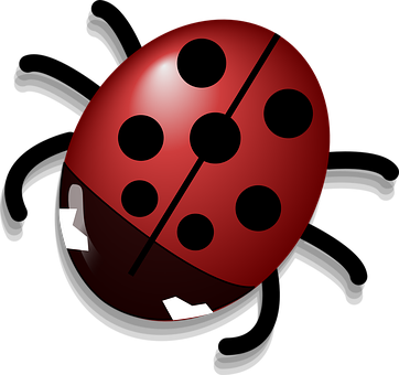 Red Ladybug Illustration PNG