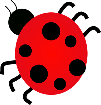 Red Ladybug Wing Pattern PNG