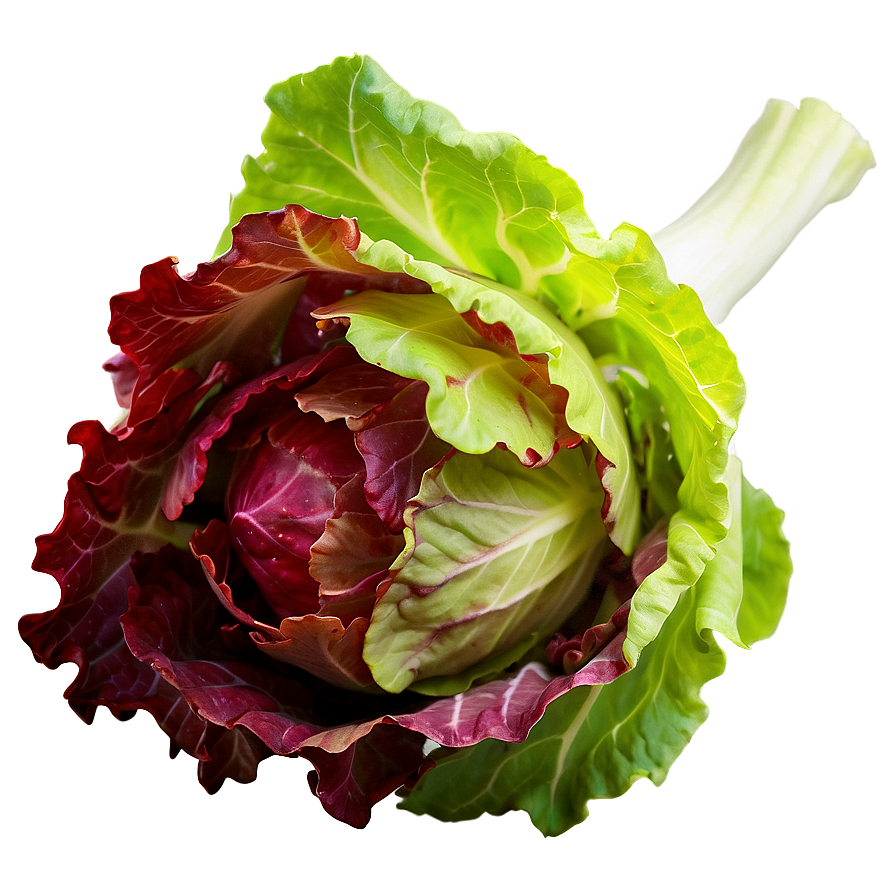 Download Red Leaf Lettuce Png Rbw76 | Wallpapers.com