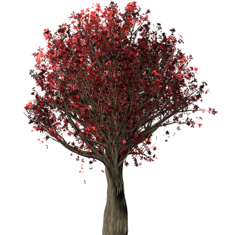 Red Leaved Tree Night Background PNG