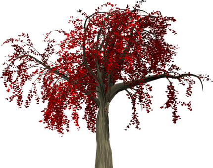 Red Leaved Treeon Black Background.jpg PNG
