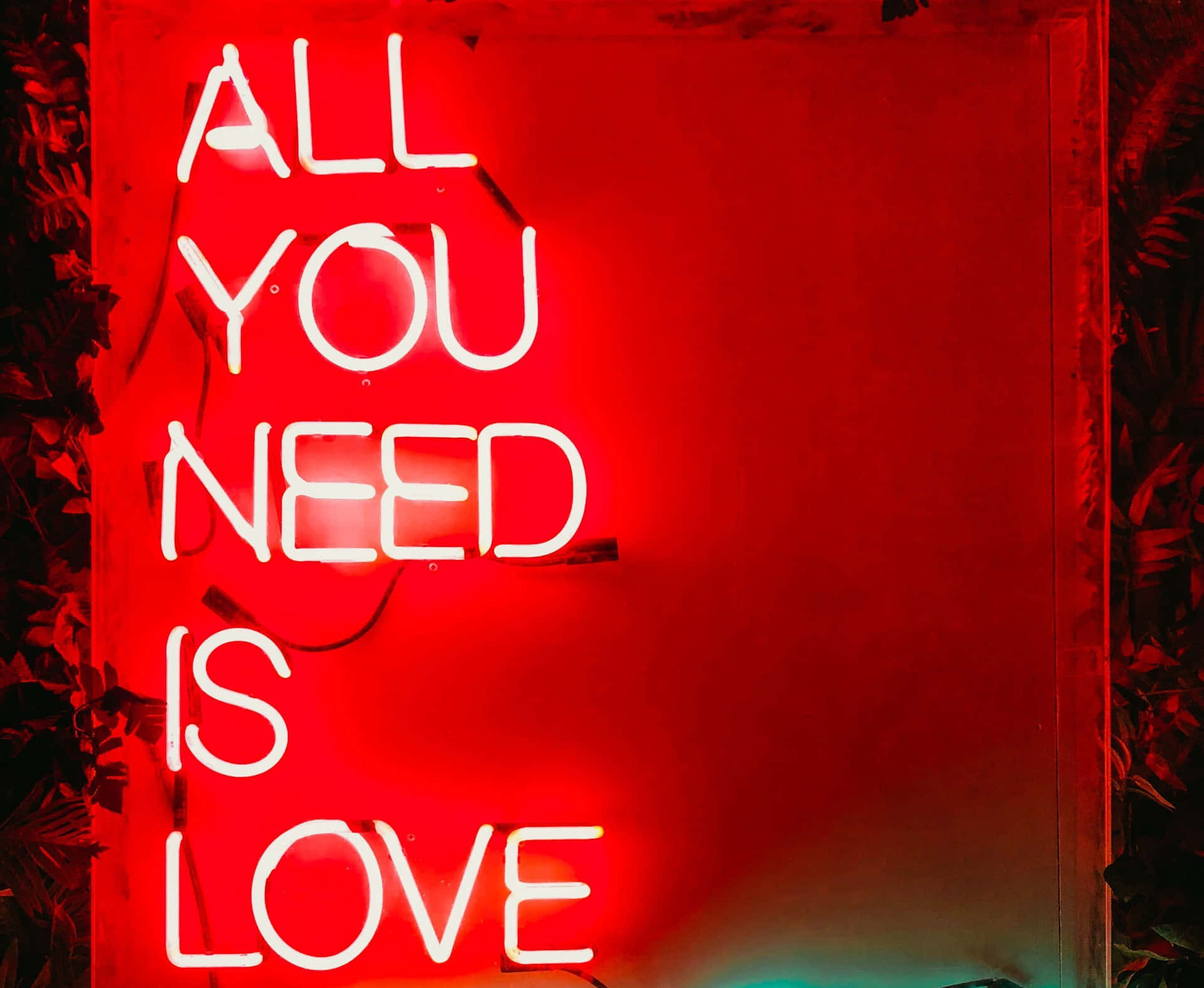En neon skilt med ordene alt hvad du behøver er kærlighed. Wallpaper
