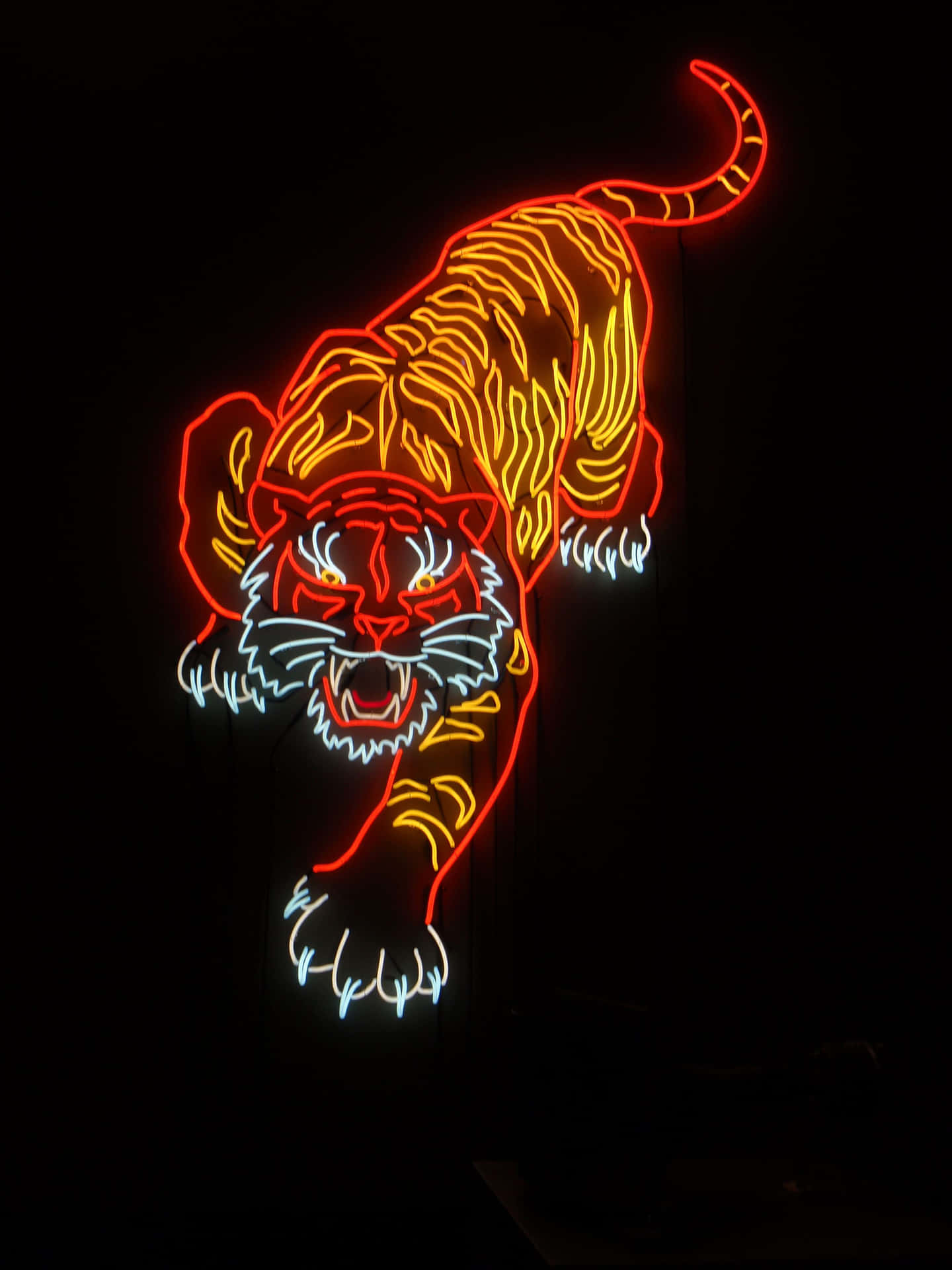 Red Led Tiger Neon Sign Background