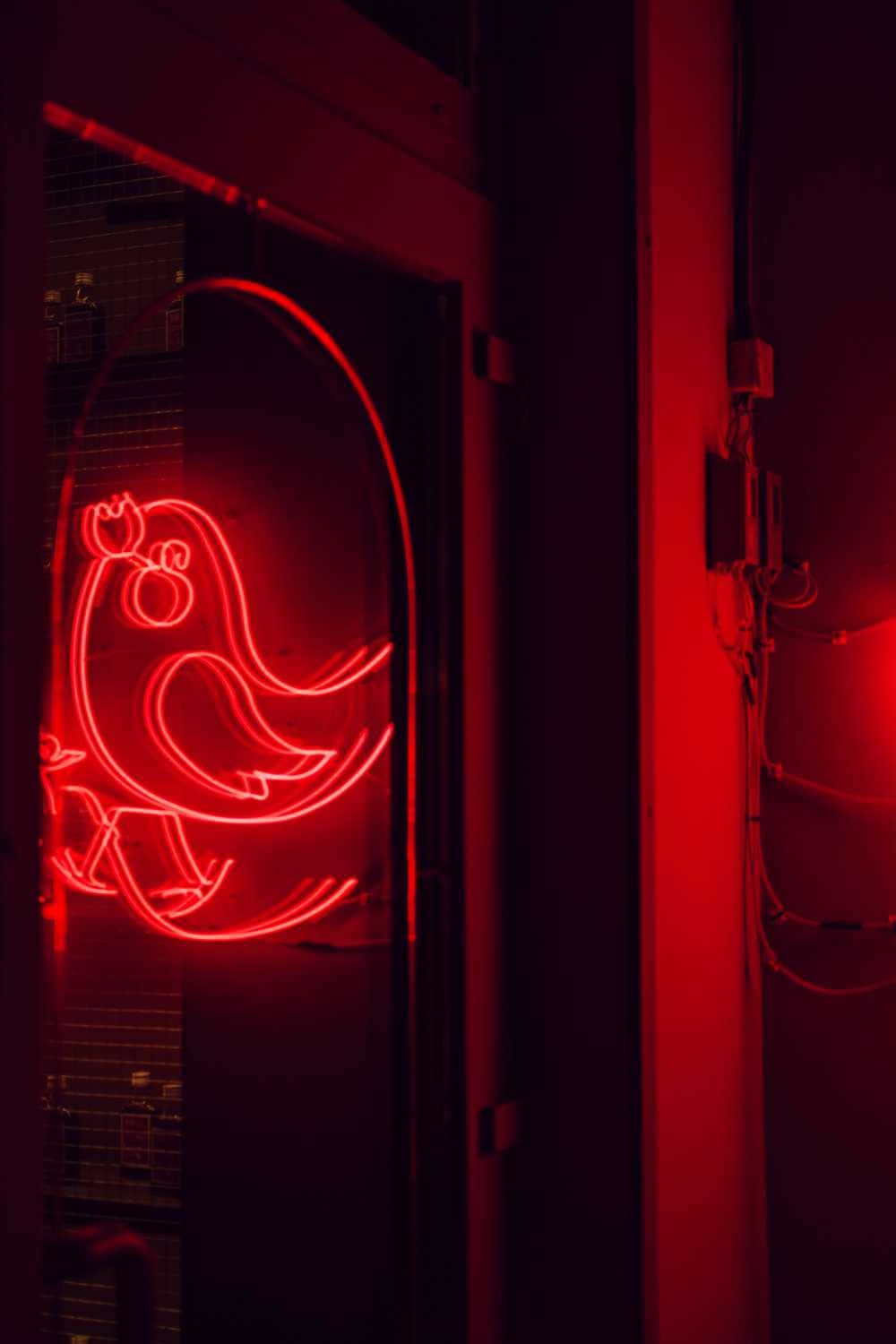 A Red Neon Sign With A Bird On It Wallpaper